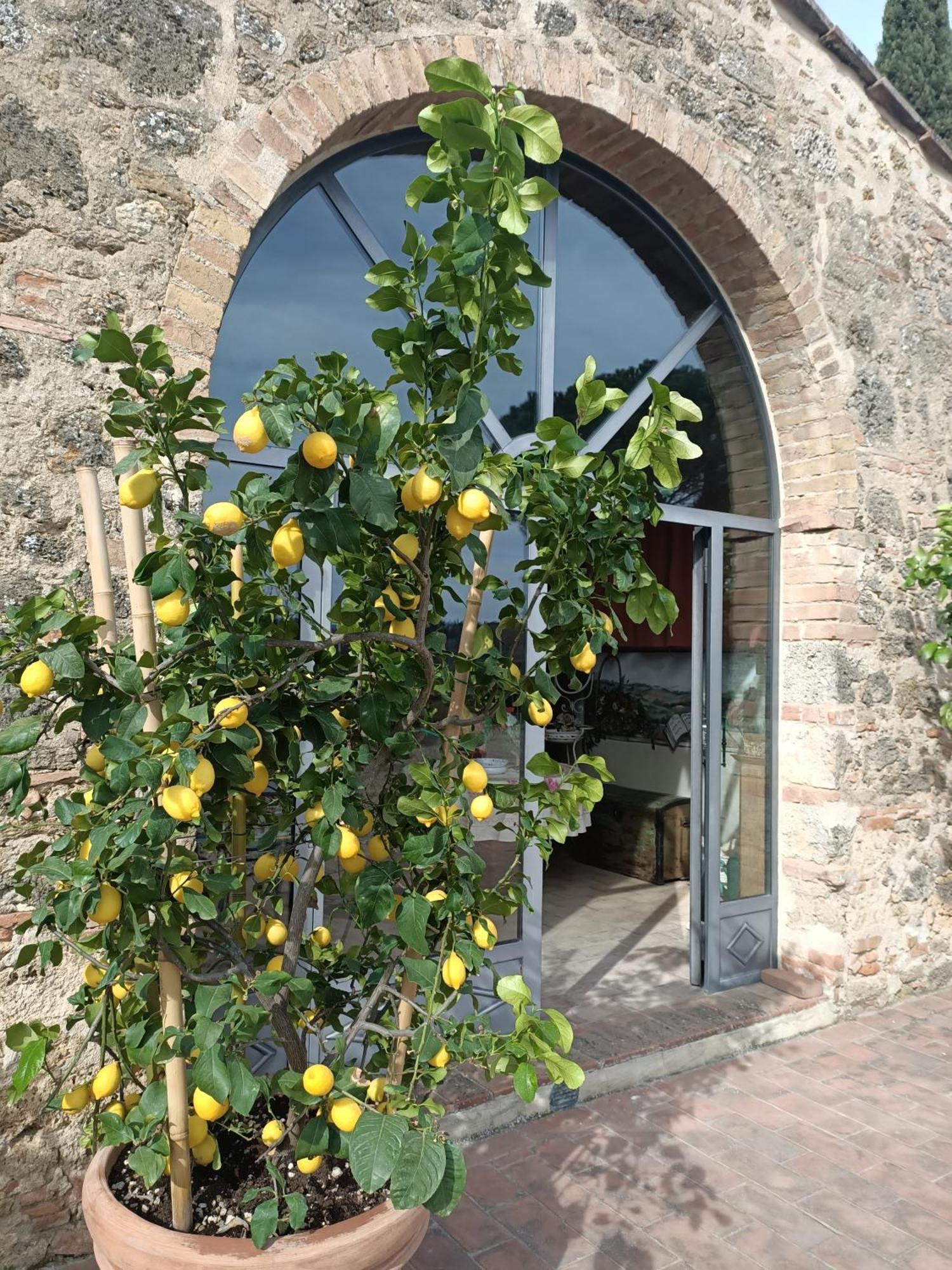 Relais Antico Borgo San Lorenzo Поджібонсі Екстер'єр фото